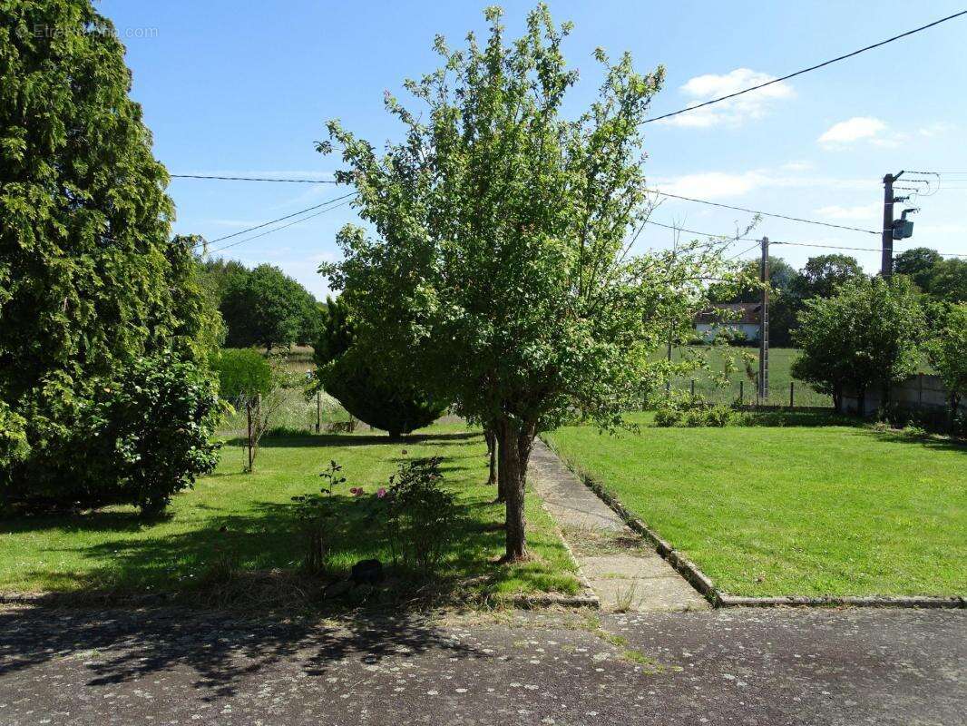 Terrain à ANDOUILLE-NEUVILLE