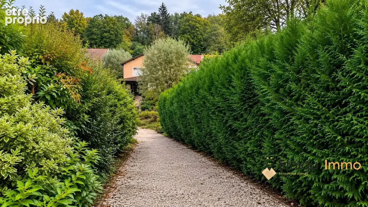 Maison 12 pièces 400 m² à vendre à Louvieres (52800) - photo 5