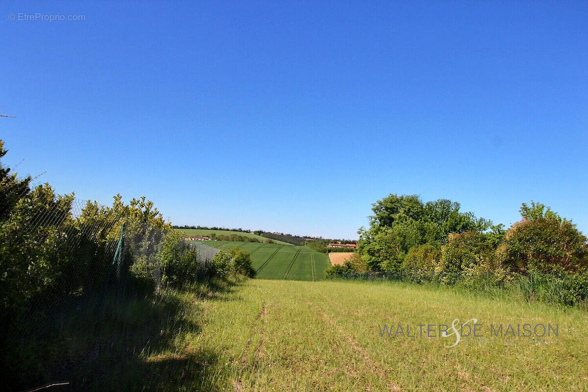 Terrain à SAINT-LEON