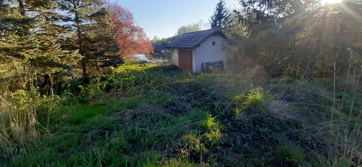 Terrain à CHATEAU-SALINS