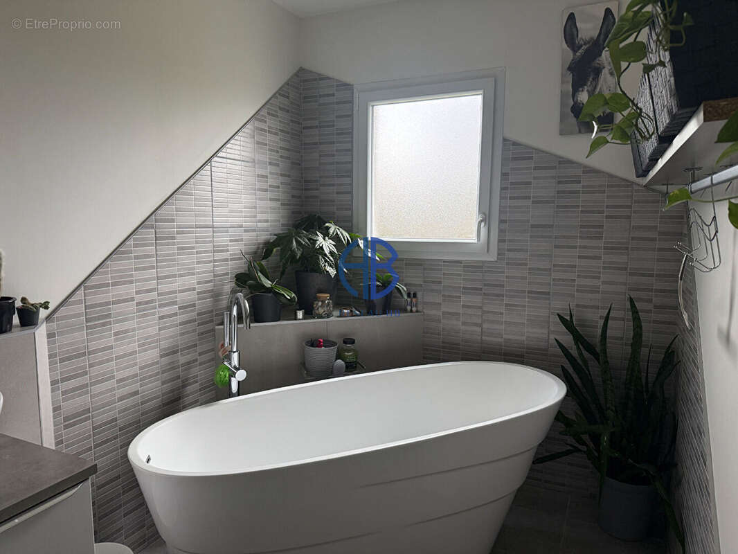 Maison 186 m² - 4 à 5 chambres - 6 587 m² de terrain - Calme absolu  (38260) - photo 13