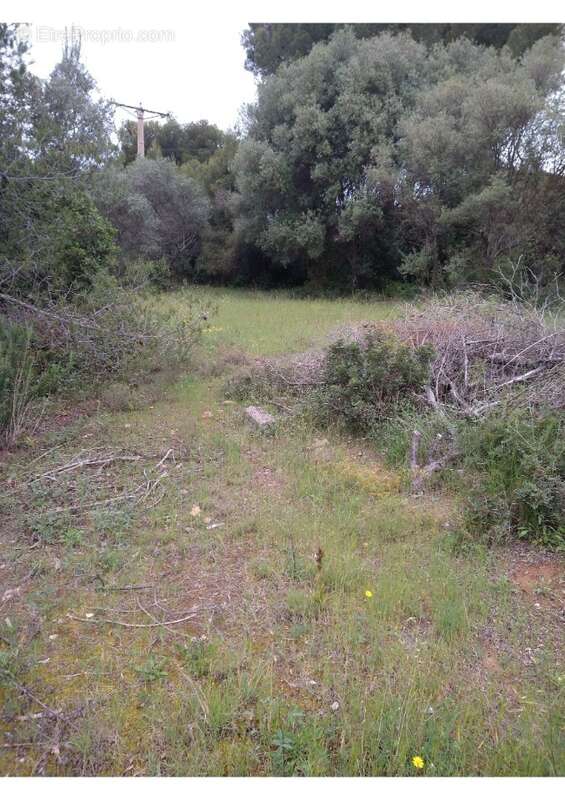 Terrain à LA CADIERE-D'AZUR