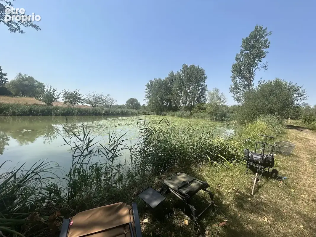 Maison d'architect avec étang, piscine, dépendances au calme. - photo 36