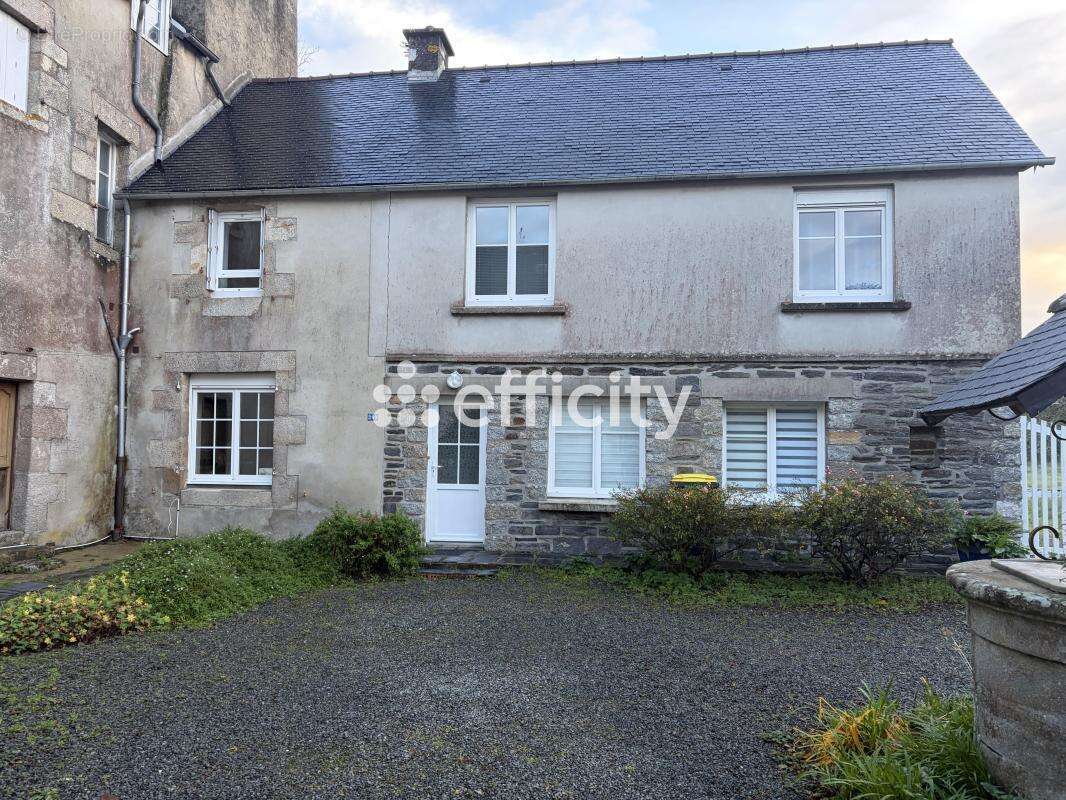 Maison 452 m² à Plouigneau  - photo 11