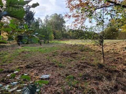 Terrain à STRASBOURG