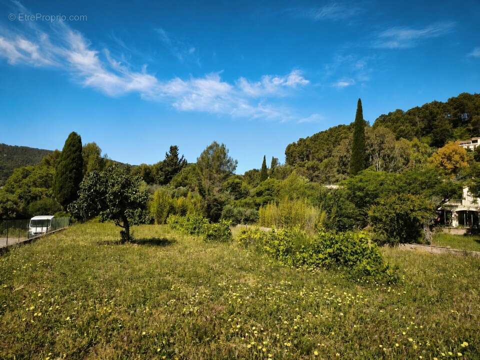 Terrain 501 m² à Sollies-Pont  - photo 2