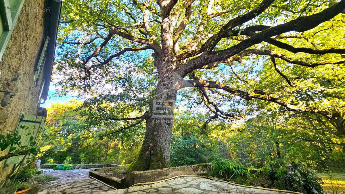 Maison à VILLELONGUE-D&#039;AUDE