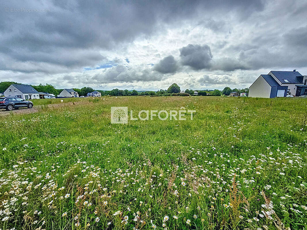Terrain à LE ROC-SAINT-ANDRE