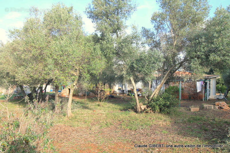 Maison à BALARUC-LE-VIEUX