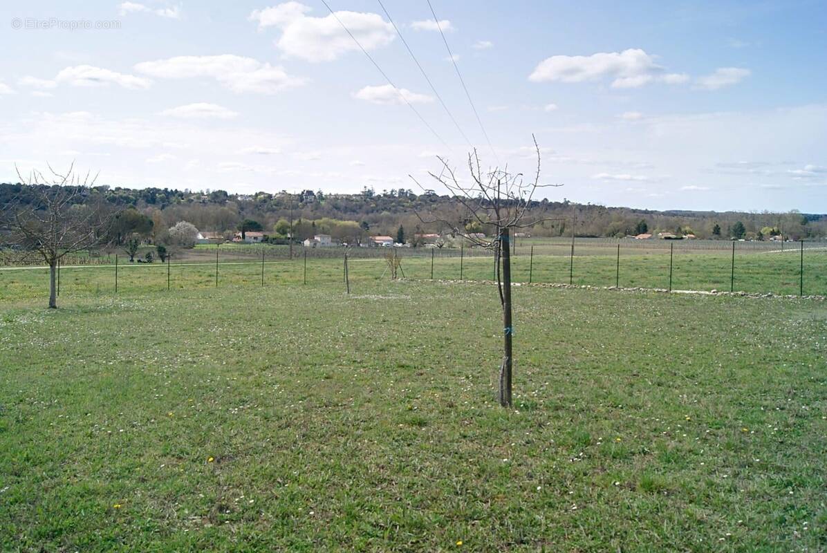 Terrain à BOUTIERS-SAINT-TROJAN