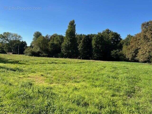 Terrain à LIGNAN-DE-BAZAS