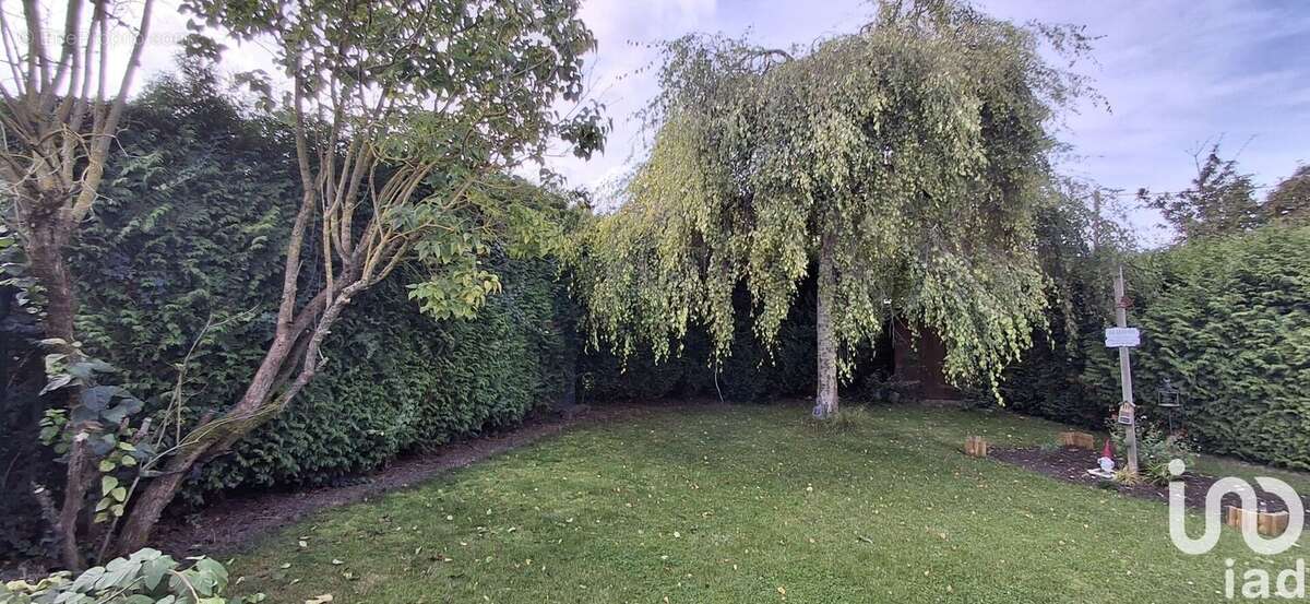 Photo 6 - Maison à BEUVRY