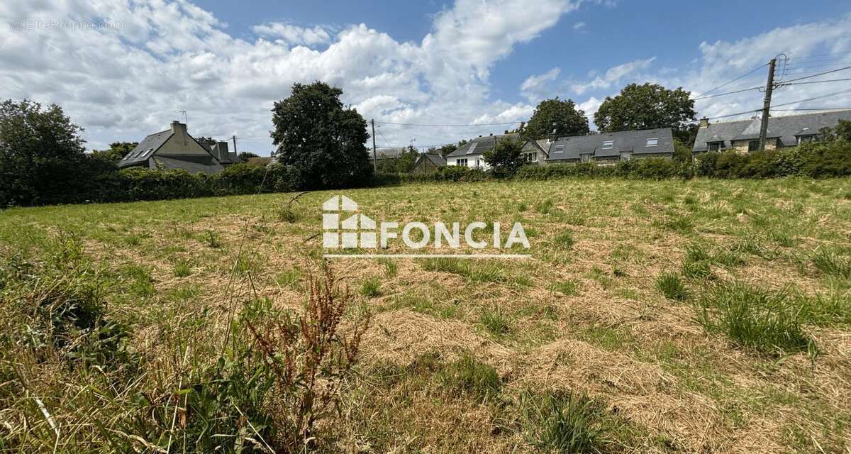 Terrain à LE TRONCHET