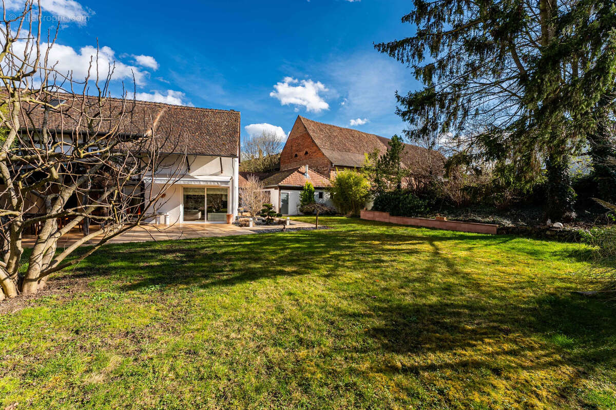 Maison à VENDENHEIM