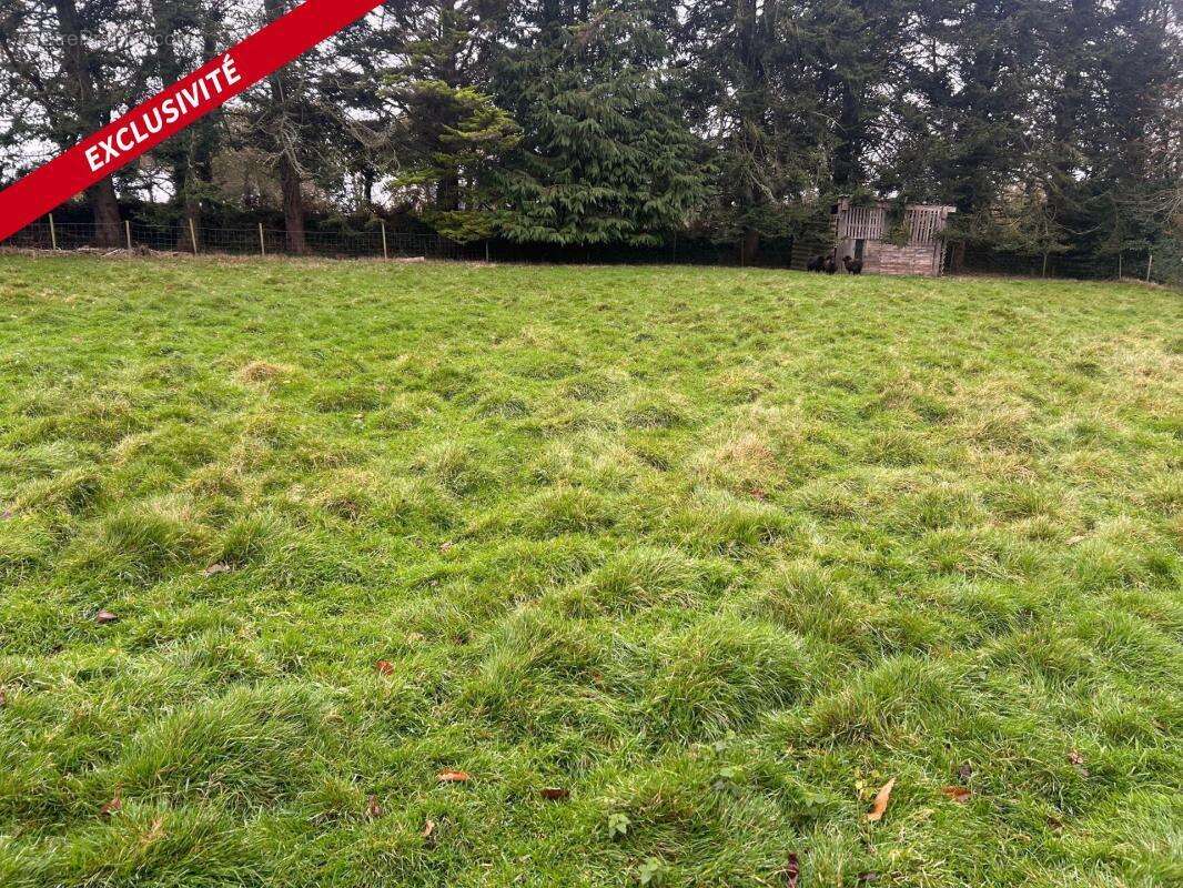 Terrain à PLOUNERIN