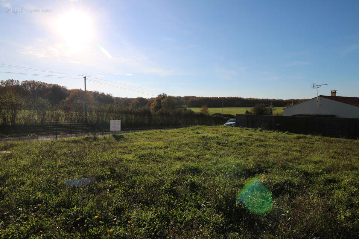 Terrain à PORT-D'ENVAUX