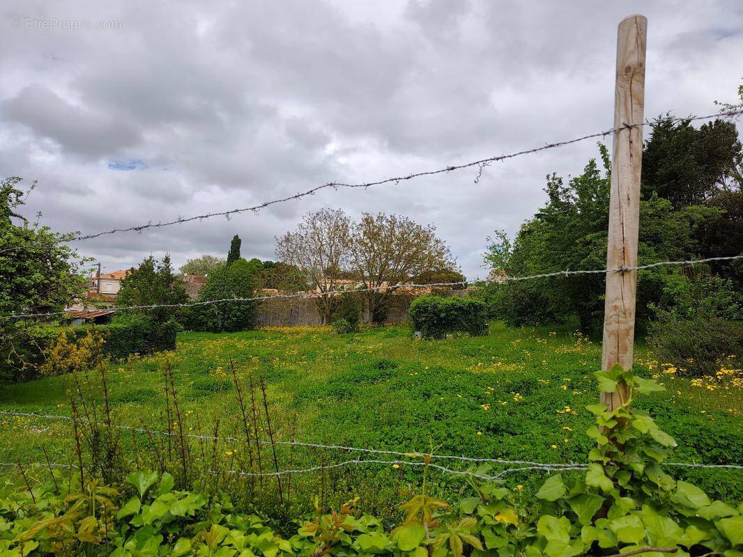 Terrain à TONNAY-CHARENTE