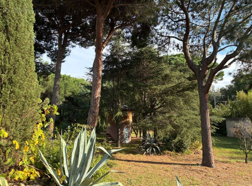 Maison à ARGELES-SUR-MER