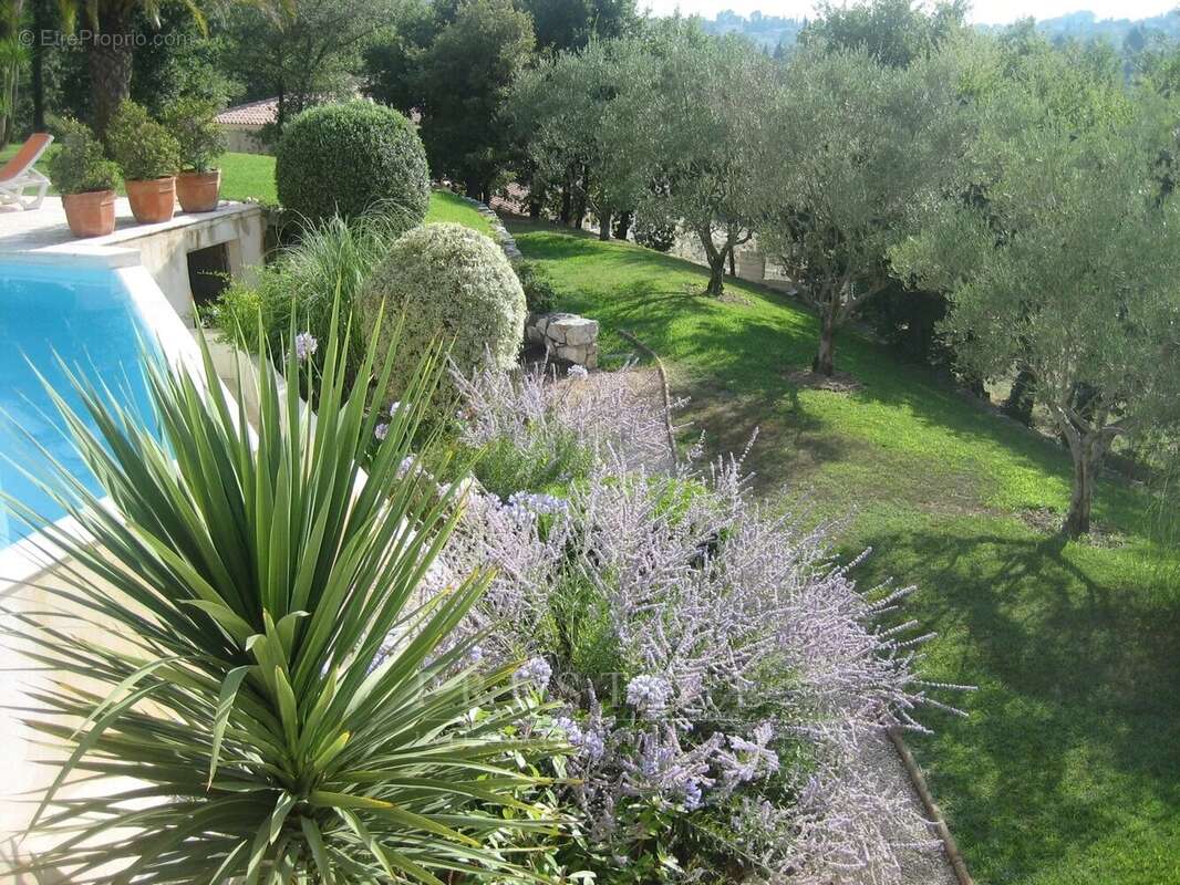 Chateauneuf de grasse, villa florentine 365m² garage, piscine, terrain 4000m² - photo 5