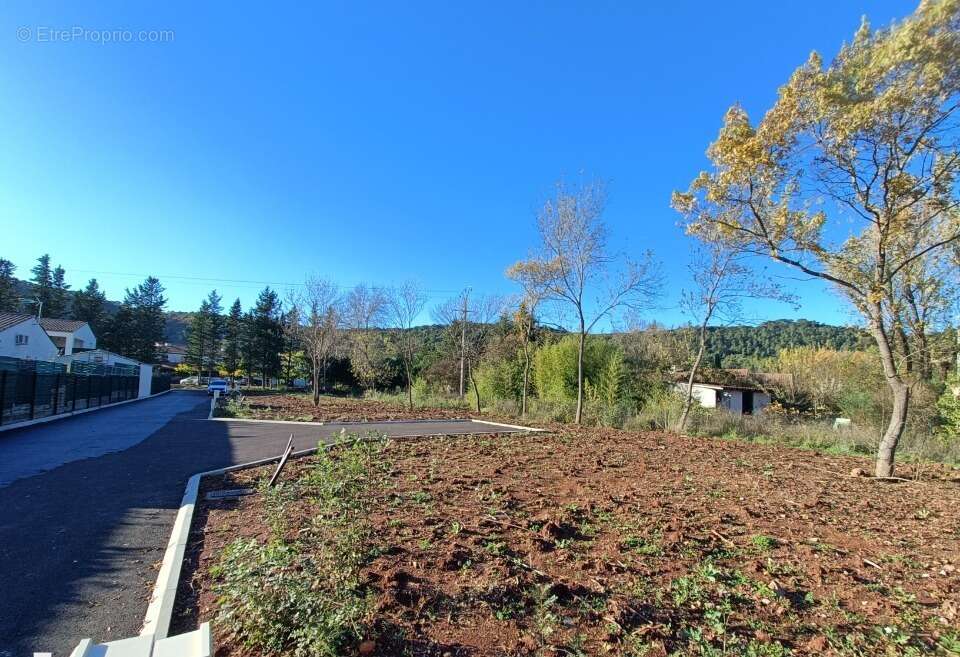 Terrain à LE LUC