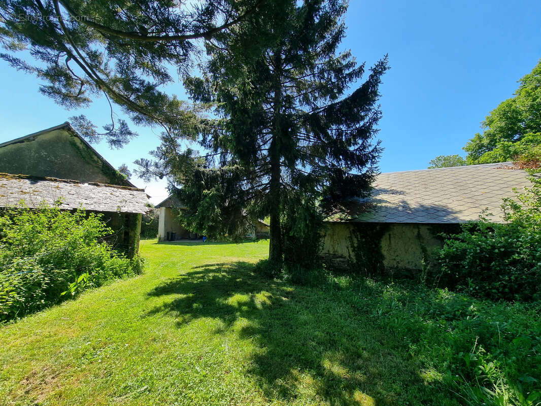 Maison à NOYAL-CHATILLON-SUR-SEICHE