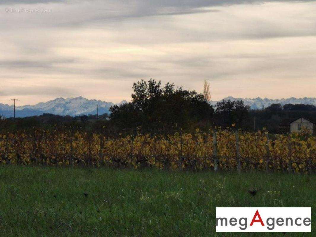 Terrain à BOUZON-GELLENAVE