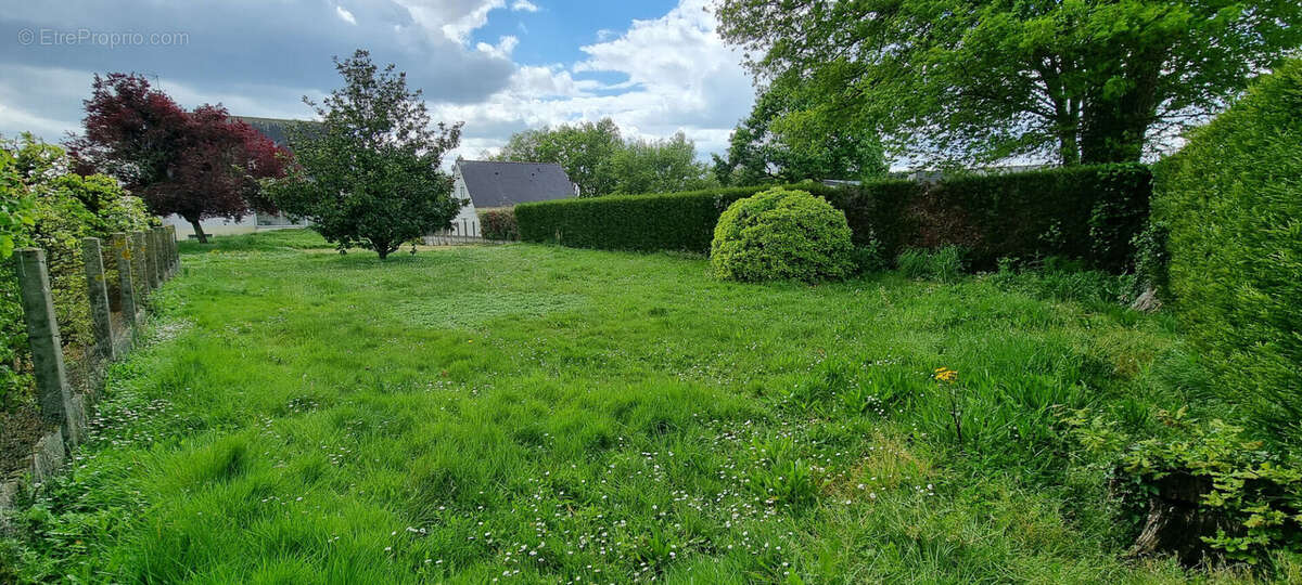 Terrain à CHAMPIGNE