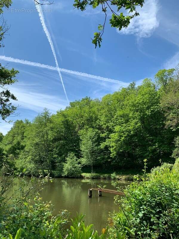 Terrain à PRESSIGNAC