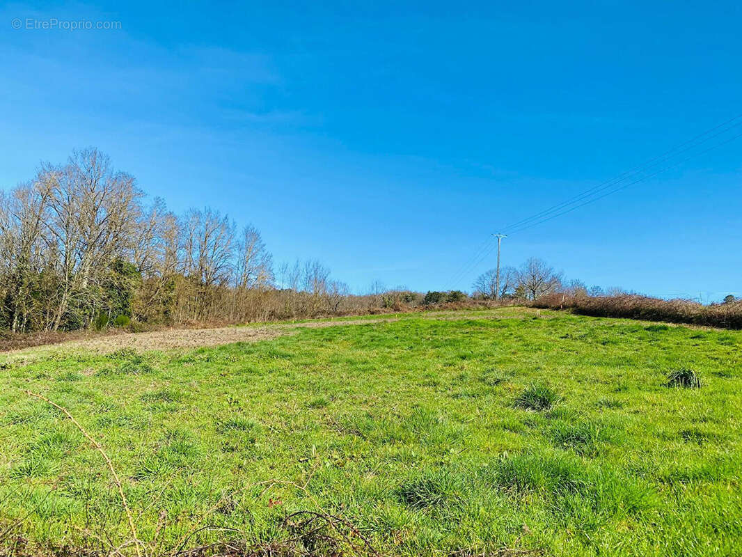 Vue dominante pour ce beau terrain sur la commune de Planioles - photo 3
