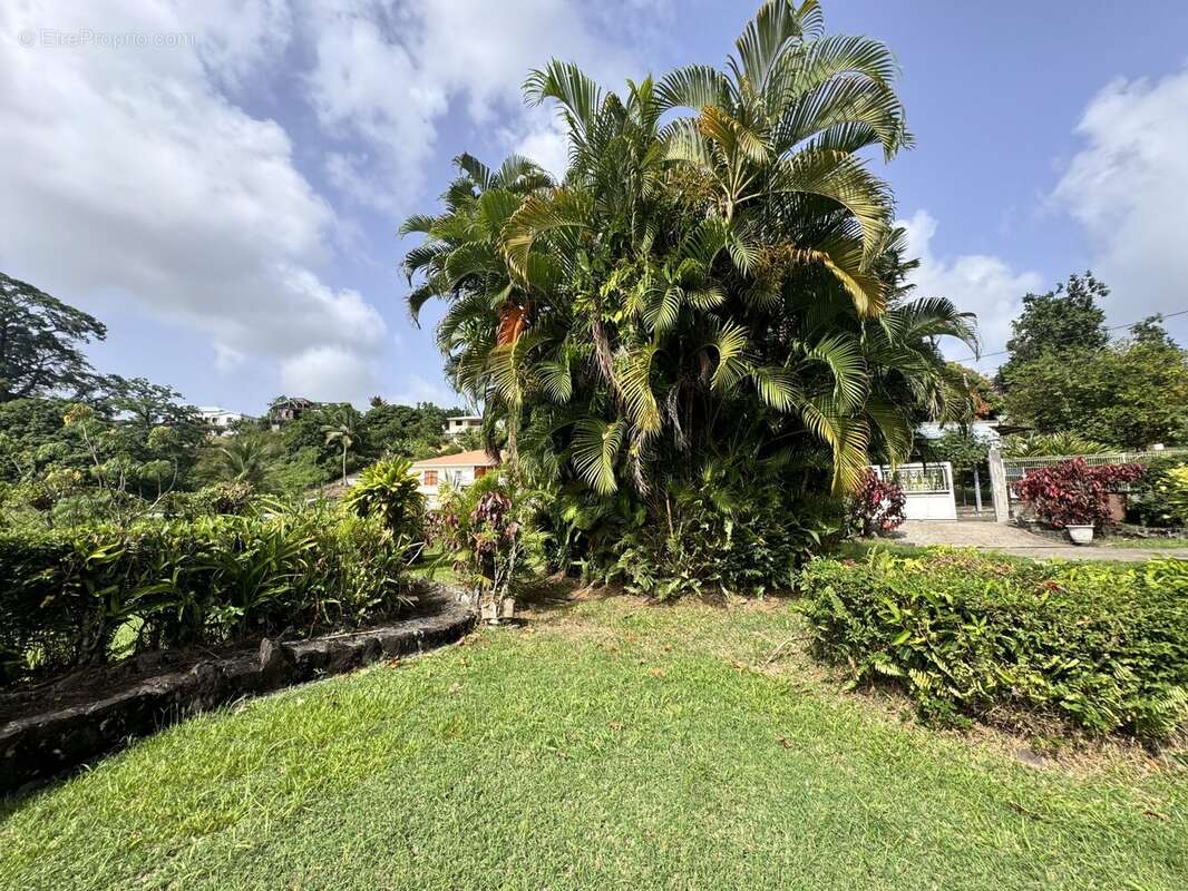 Maison à RIVIERE-SALEE