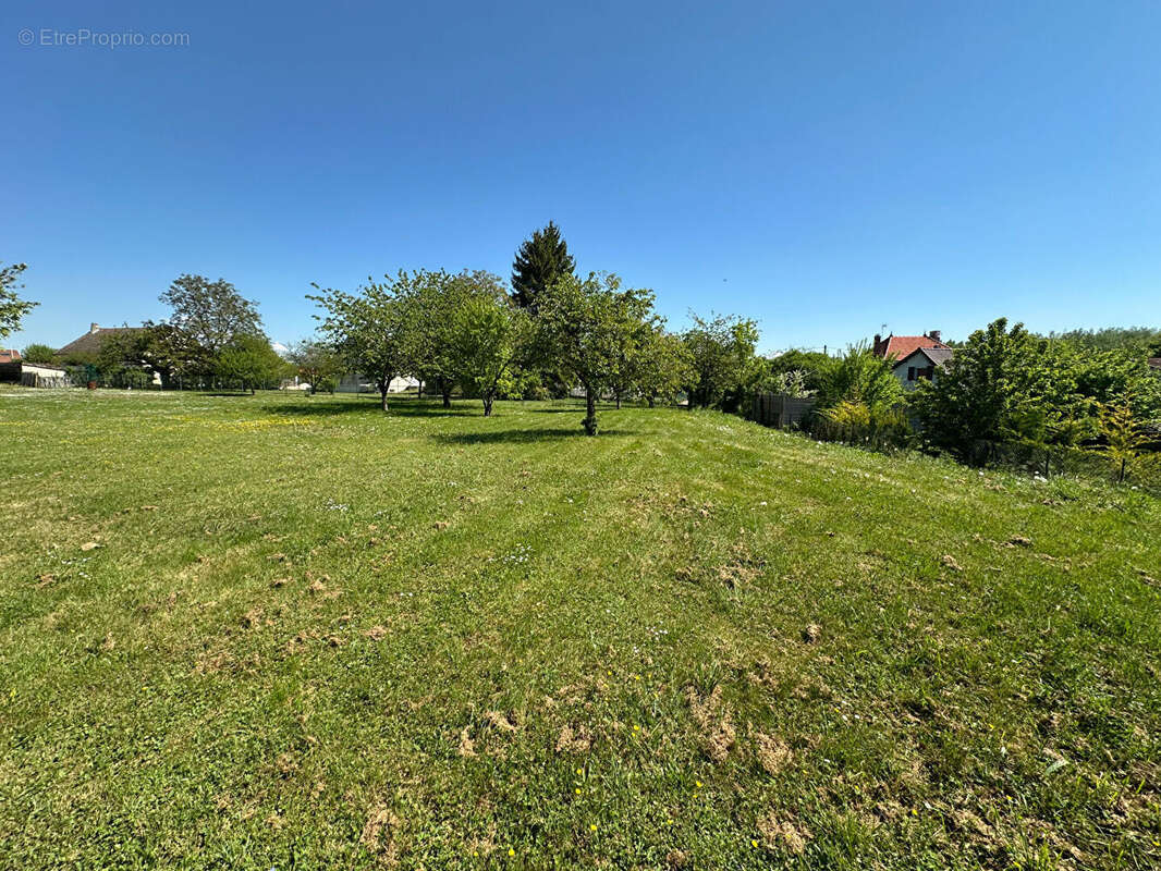 Terrain à LA CHAUSSEE-SUR-MARNE