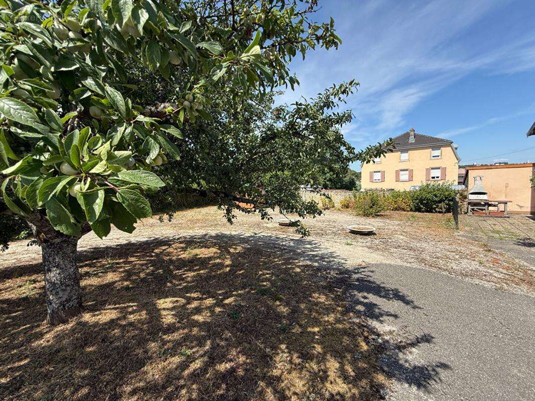 Idéal investisseurs ; Maison Montbeliard 5 pièce(s) 95 m2 avec 12 garages déjà loués - photo 2