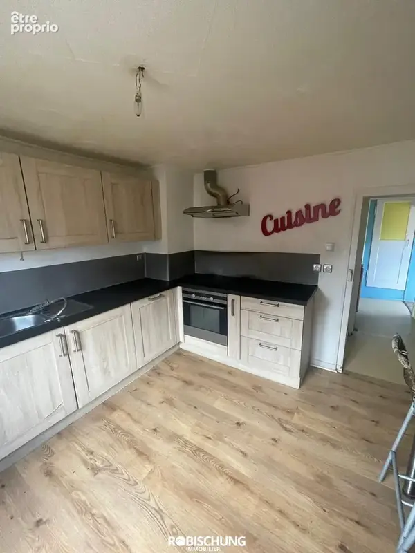 DANNEMARIE : Maison individuelle avec 2 appartements + dépendance - photo 2