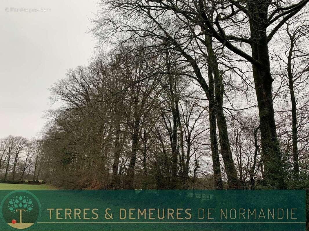 Terrain à SOURDEVAL