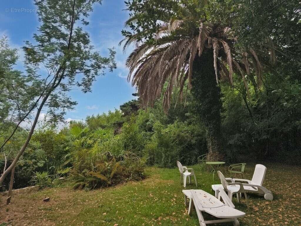 Maison MAÏTRE Salies De Bearn 21 pièce(s) 500 m2 - photo 6