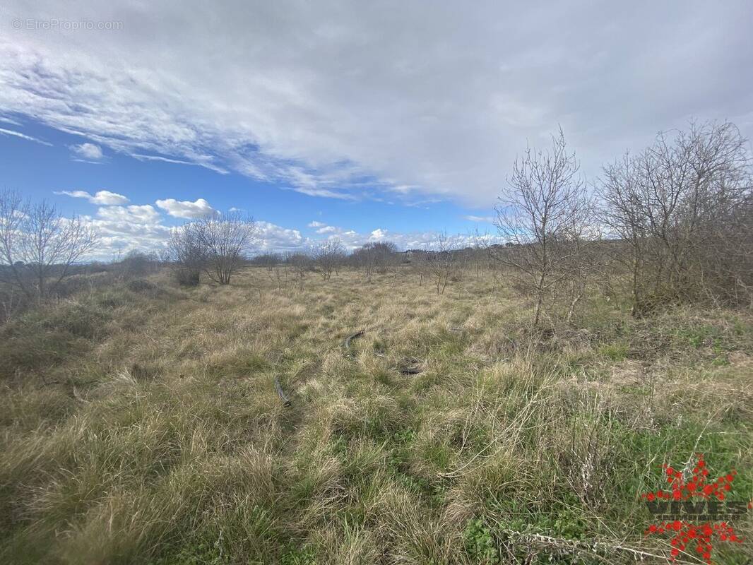 Terrain à POILHES