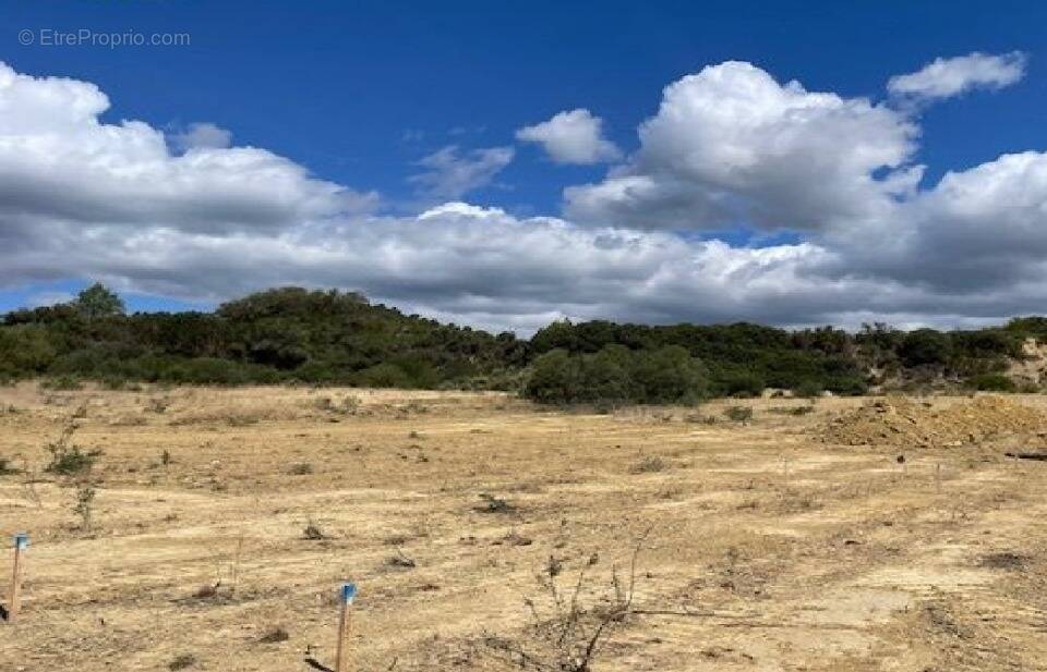 Terrain à PORTEL-DES-CORBIERES