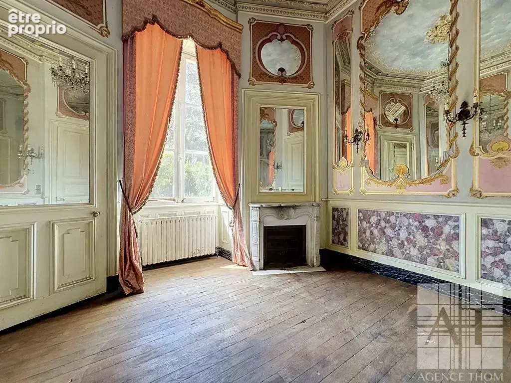 Château du Domaine avec parc de 4 084 m² - un projet de restauration unique! - photo 6