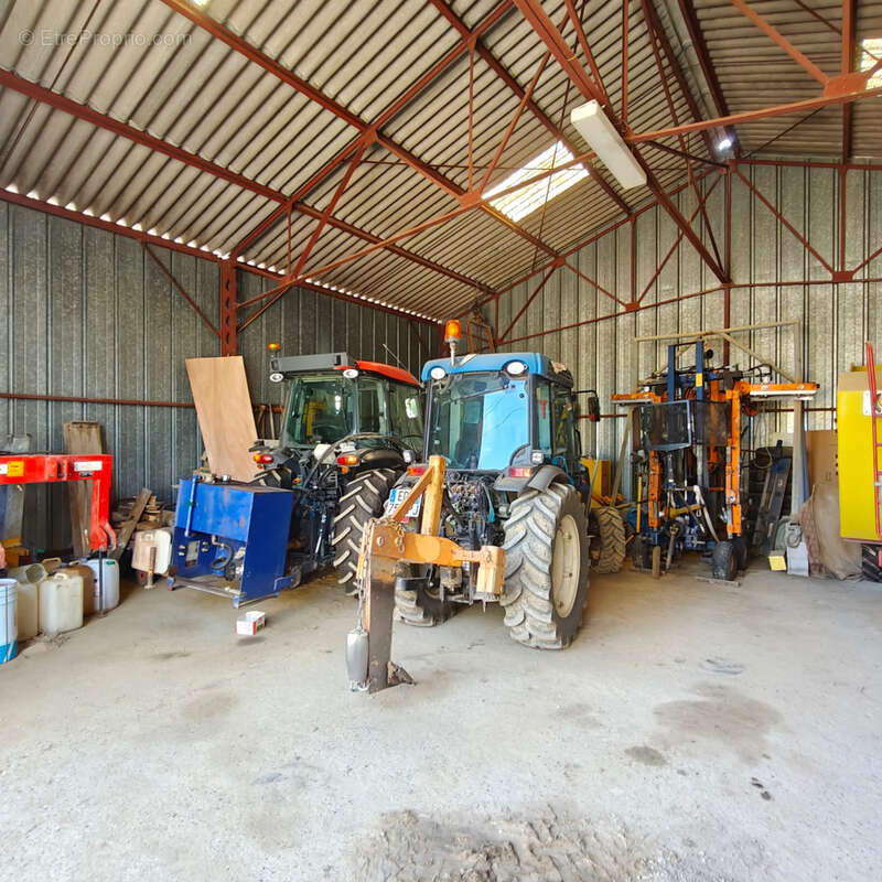Maison à TOURREILLES