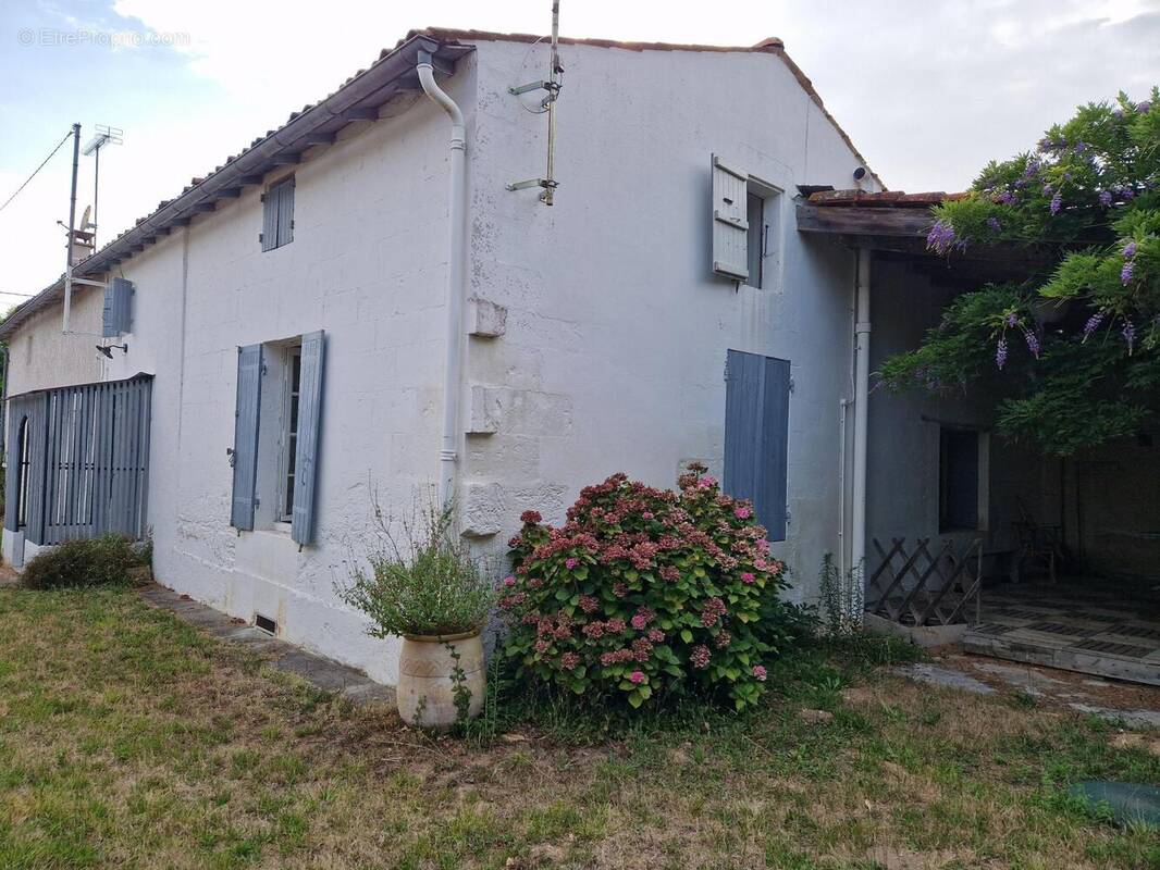 Photo 1 - Maison à SAINT-FORT-SUR-GIRONDE