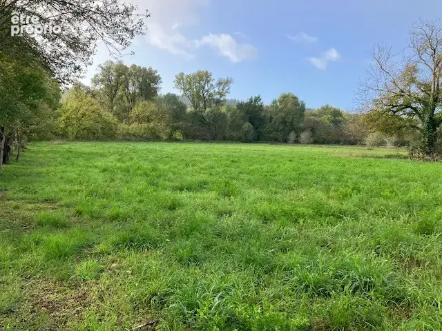 Terrain en bord de la Dordogne à Pechs-de-l'Espérance - 6370m2 - photo 1