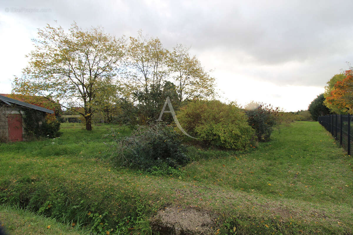 Terrain à MONT-PRES-CHAMBORD