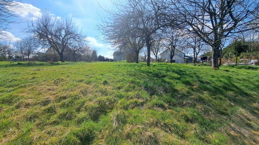 Terrain à BREBOTTE