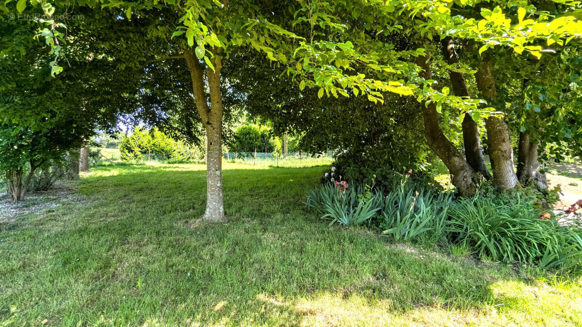 Maison à COSSE-LE-VIVIEN
