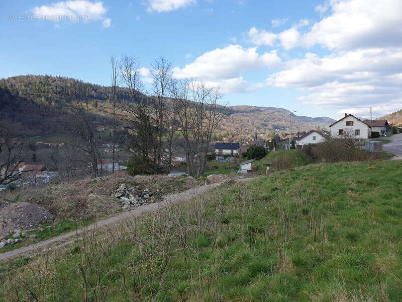 Terrain à SAINT-MAURICE-SUR-MOSELLE