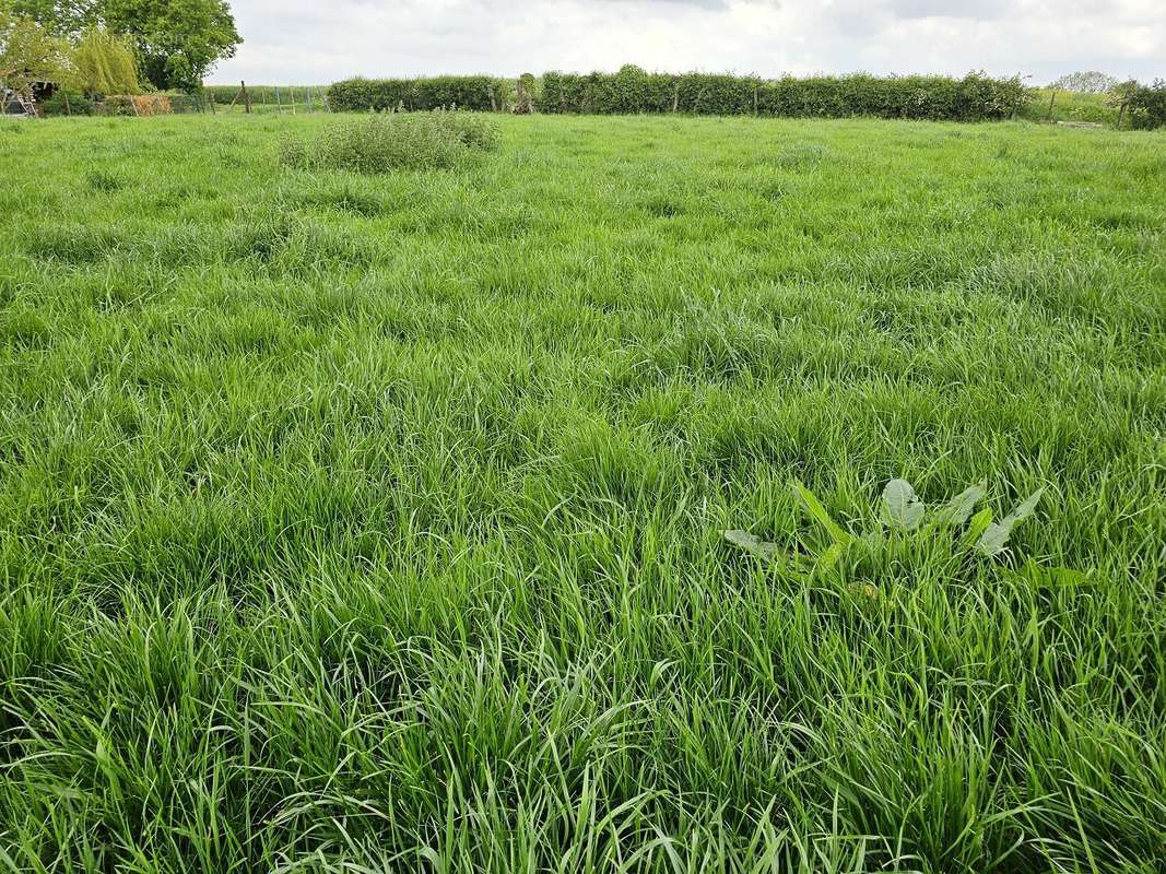 Terrain à MARCONNELLE