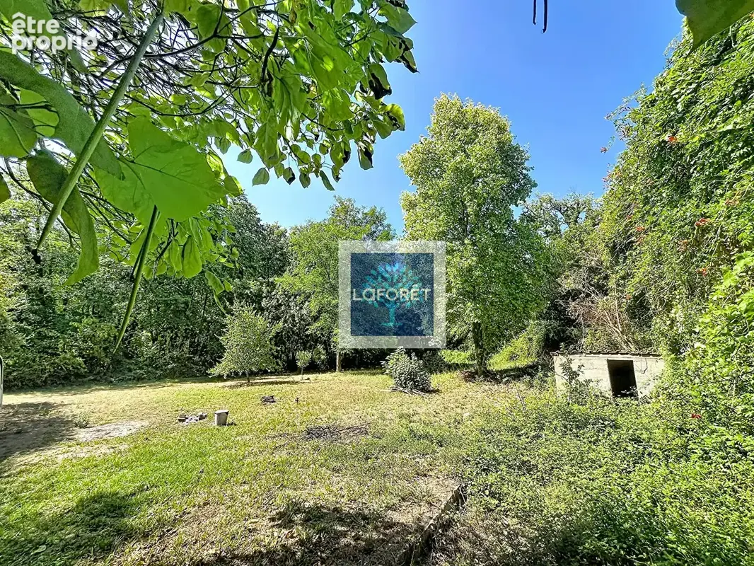 Maison pierre, 4 chambres, dépendances et jardin - photo 4