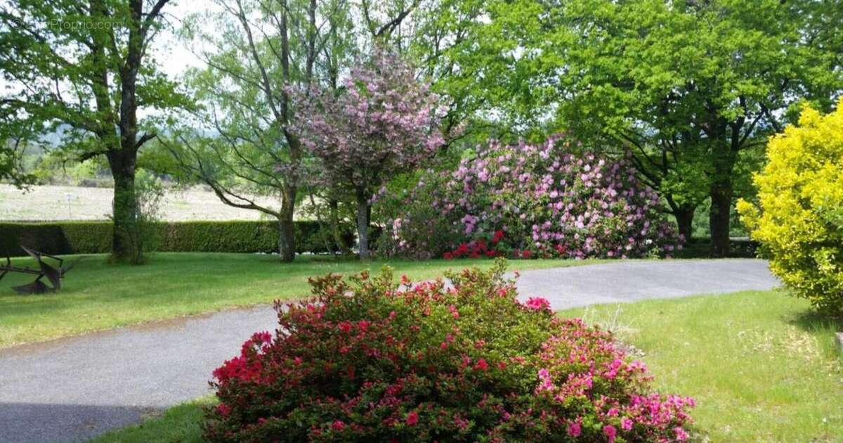 Photo 4 - Maison à SARRAN