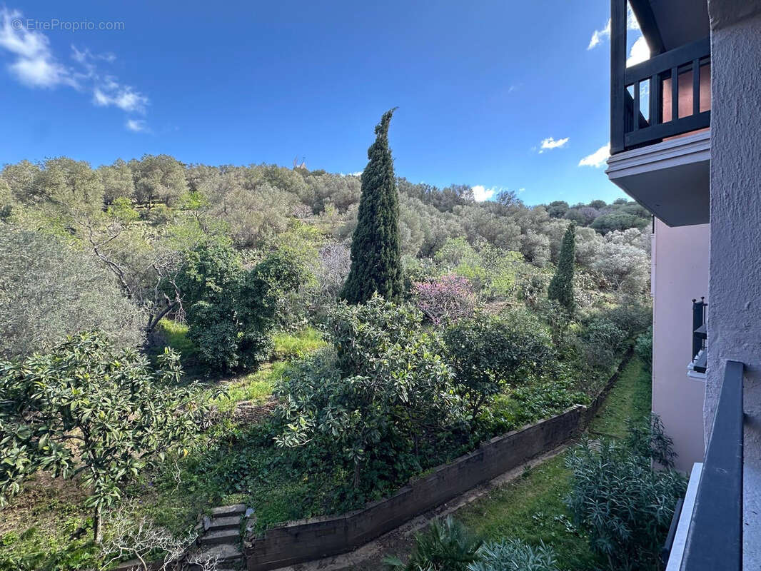 Appartement à COLLIOURE