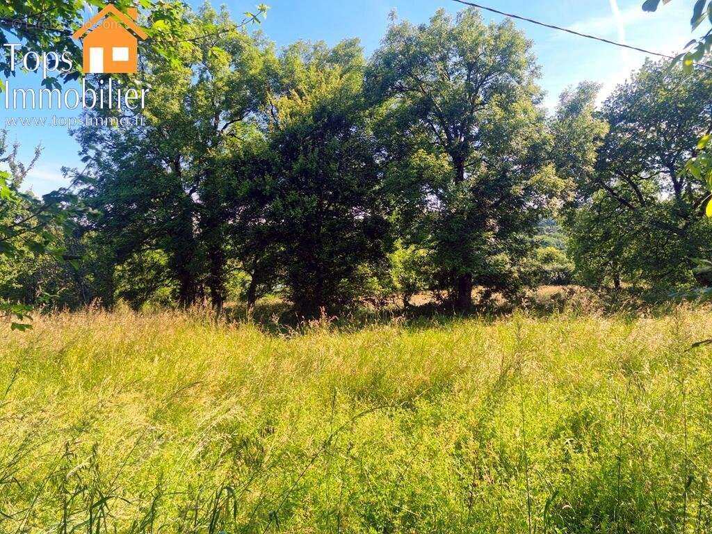 Terrain à VILLEFRANCHE-DE-ROUERGUE